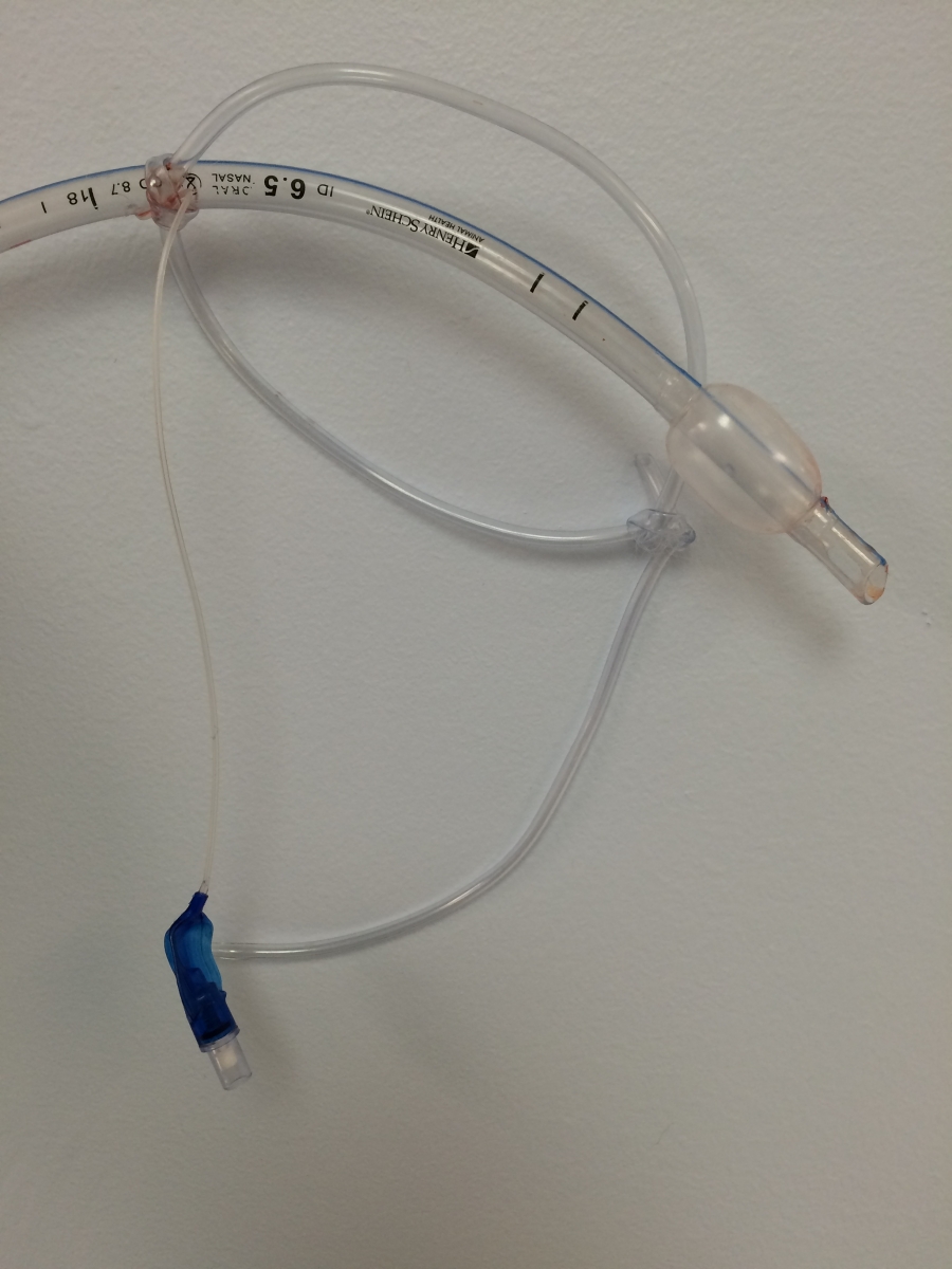 The Curious Case of the Inflated Endotracheal Tube Veterinary